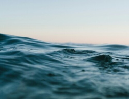 Mélanger l’eau salée et douce, cette nouvelle énergie veut concurrencer le nucléaire