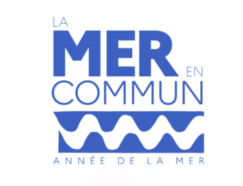 Année de la Mer 2025 : lancement des labellisations de projets