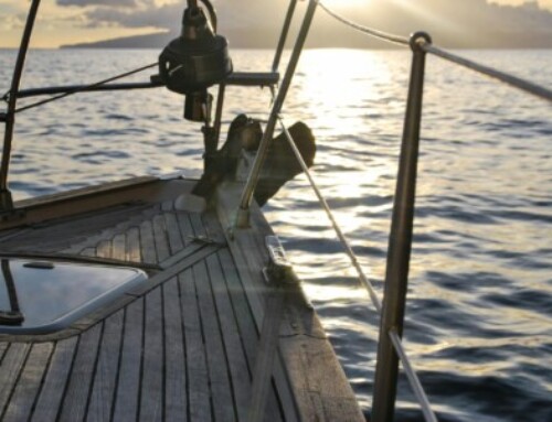 Un équipage marseillais se lance le défi de transporter des marchandises à la voile